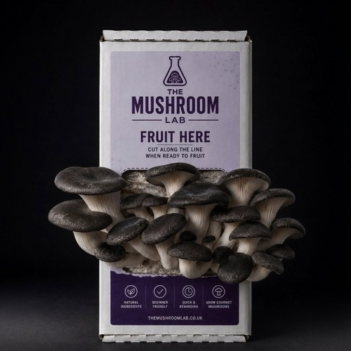Mushroom grow kit mix match - kit, &