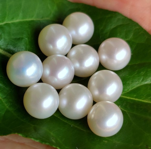 Ivory white undrilled - ivory,