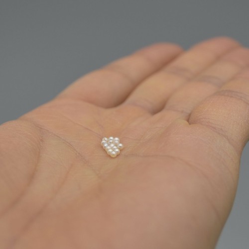 Freshwater round pearls grade - freshwater,