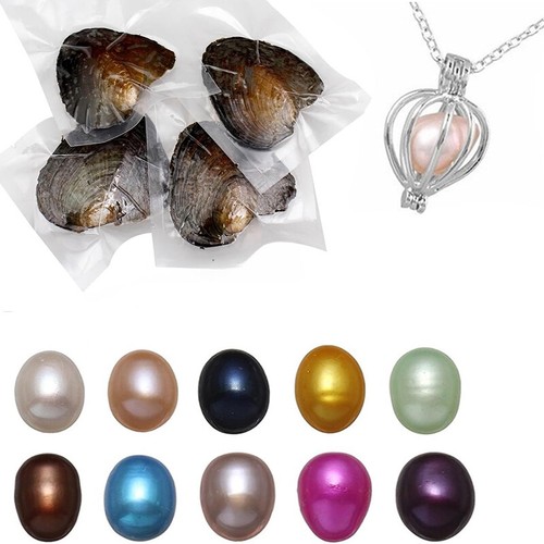 5pcs individual wrapped - 5pcs, akoya